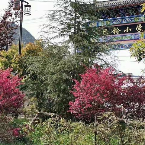 疫情防控不放松，教师有爱撒汗滴。干净靓丽迎开学，殷盼孩子读书声。