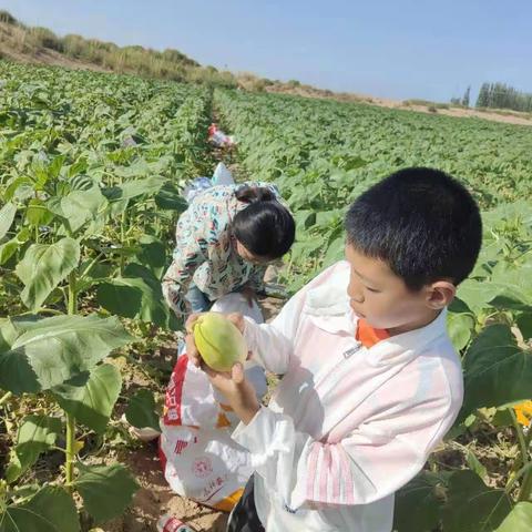 难忘的乡村生活