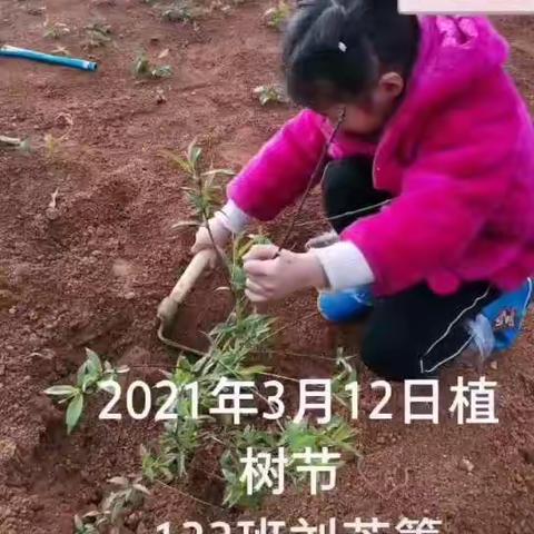 精彩纷呈的植树节——红日学校133班