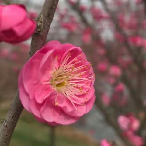 多彩寒假，一起留“义”过大年