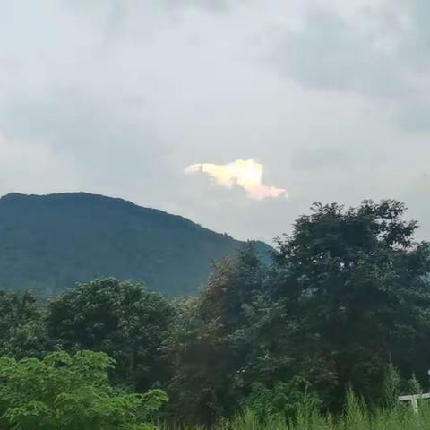 守秦岭之绿水青山，绘长安之美好蓝图