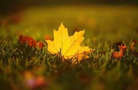 夏之韵                             秋之果                    ——记郁光小学暑假作业展示