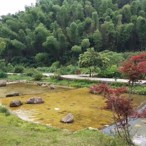 过梅岭重温《梅岭三章》