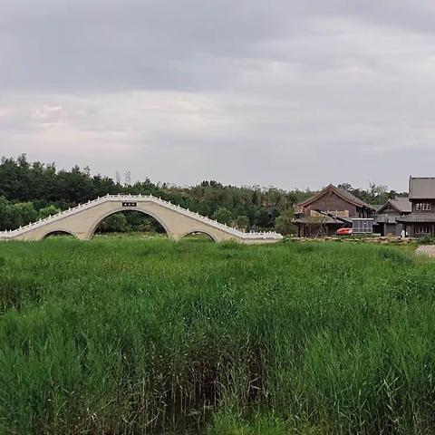 清风细雨凉夏  荥阳新密逛下