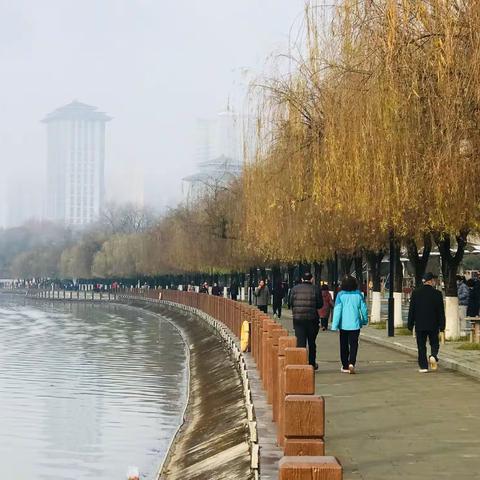 记录晨练的瞬间  （手机拍摄）