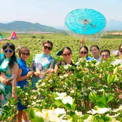 初夏我们去看栀子花