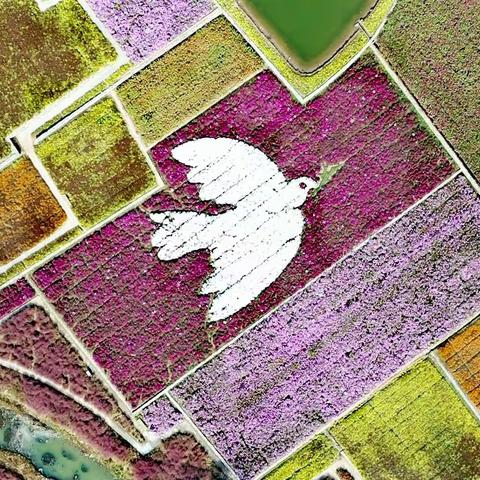 宿迁印象：一组秋景小片