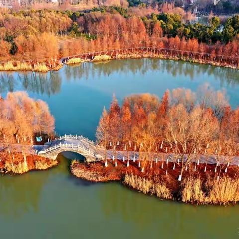 美篇，我的2022记录