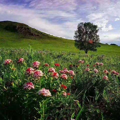 家校共育暑期实践活动---亲近大自然