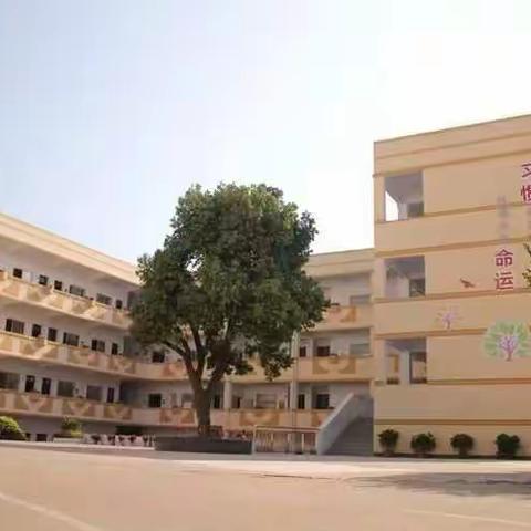 沙石中心小学欢迎您!