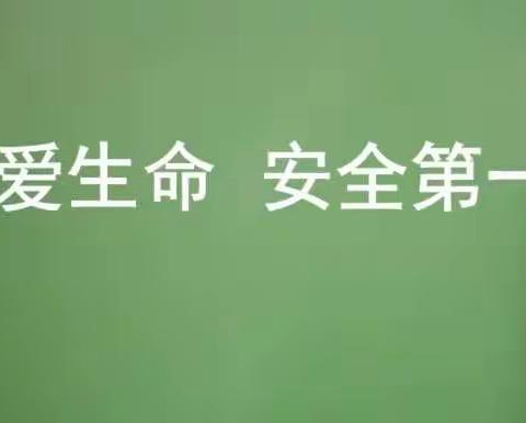 珍爱生命 规避危险——花园小学二（1）班安全教育主题班会