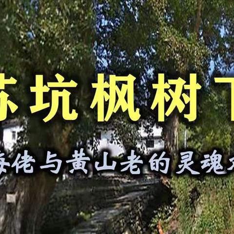 苏坑枫树下 上海佬与黄山老的灵魂对话