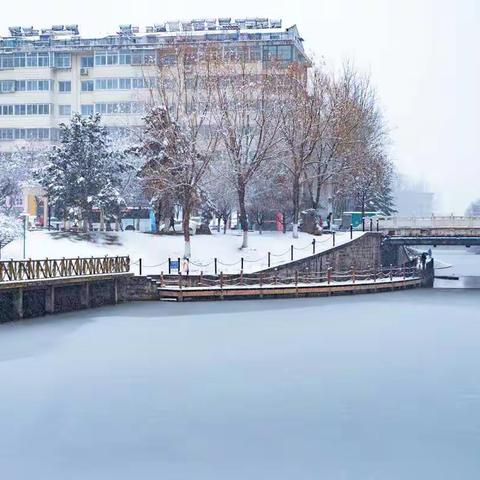 2020年的第一场雪