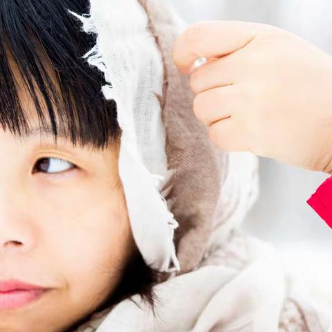 遍野银装一抹红 雪中望尽佳人貌
