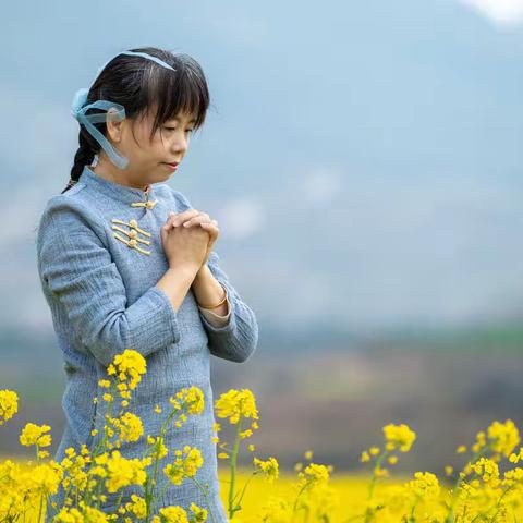 油菜花海