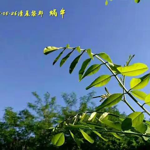 锁住的过往曾经