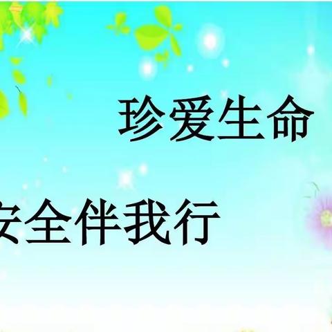 兴济镇中小学“安全伴我行”演讲活动纪实