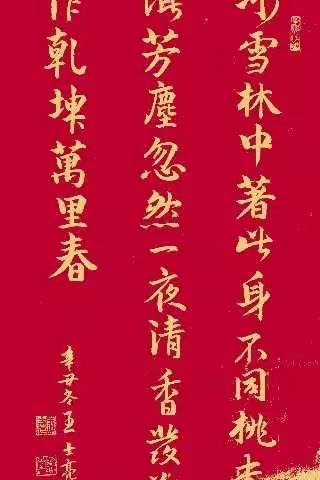 闲情逸致的美篇