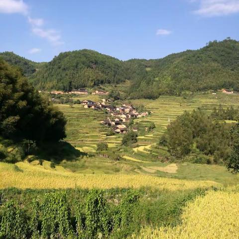 周末吴屯后源自由行