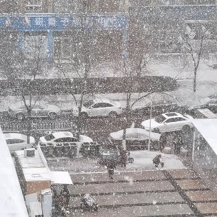 【2020今冬第一场雪】～从我家楼上东西南北观雪景