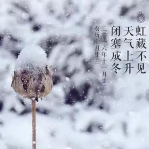 小雪到，冬始俏——二十四节气之“小雪”系列活动