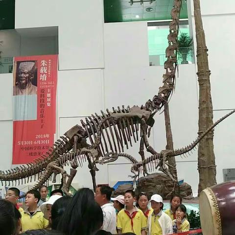 让梦想插上翅膀