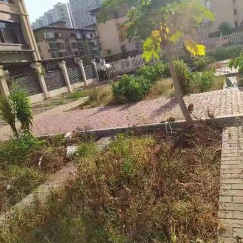 【2021级6班群星班】一分耕耘一分收获