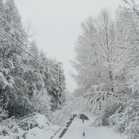 不惧雨雪 除险排患 --宇辉铁路线应对2022年首降雨雪天气纪实