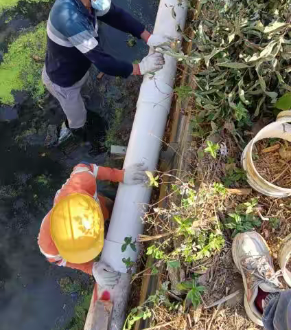 香水湾排沟处理情况