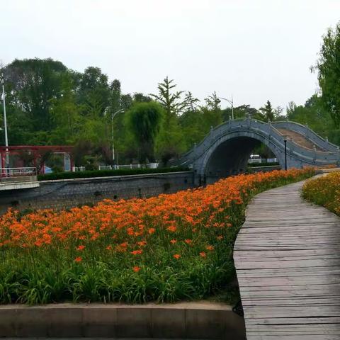 古城上空艳阳天 护城河畔花斗艳