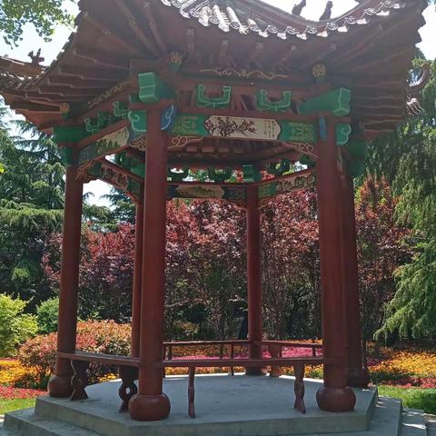 沭河岸旁   沁人芬芳