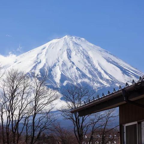 走马观花看日本（二）