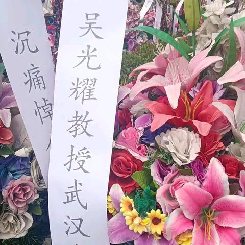 6.凤凰阁厅老母2023年9月18号（副本）