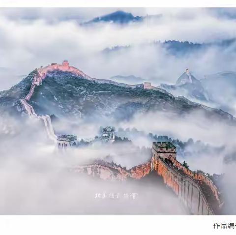 摄影：我的2020