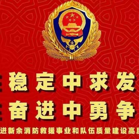 一图读懂|新余消防救援支队党委扩大会工作报告图解来了！