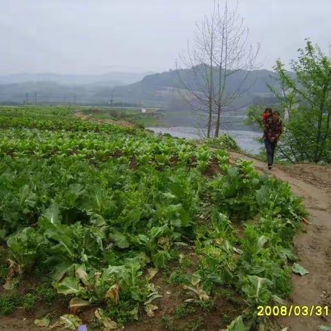 顺水漂流（下）