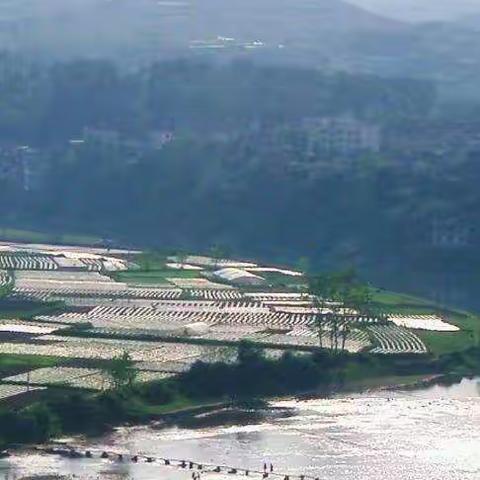 坐看云起（中）