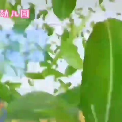 “节约用水，你我同行”——翰林小学幼儿园“3.22世界水日”宣传活动