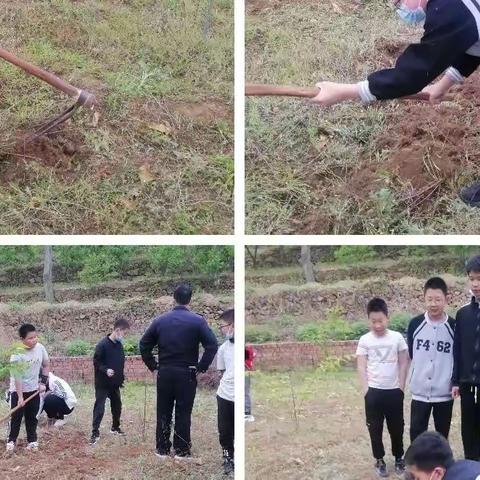 以乡土立人，根植乡土情怀，在劳动中感受乡土，留住乡愁——黄槐峪学区劳动教育纪实