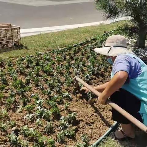 鲜花扮靓城市面貌 喜迎中秋佳节