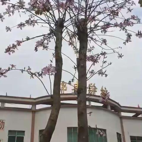 关于搭建学生自行车车棚的倡议书