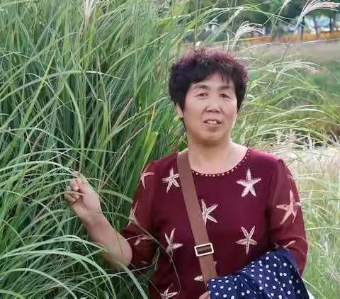 心未老 爱相随                                            ——记路旺学校3月份“师德之星”杨玉萍老师
