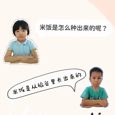 【宝红班】方案——五谷吃好 身体倍棒