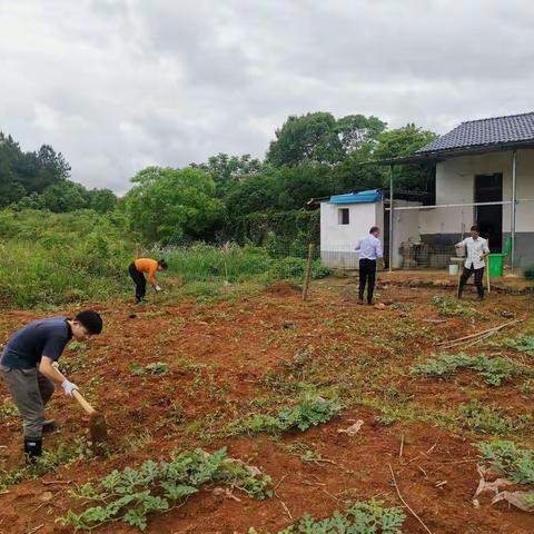 开垦荒地种果蔬，自力更生助振兴