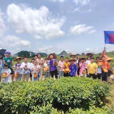 小荷作文“御人文风，践军影梦”夏令营——茶博园