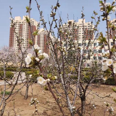 师生云端同助力，线上课堂重实效