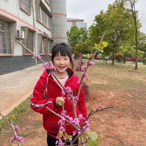 天字地完小二年级读书绘本举荐《春天来了》