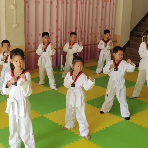 真情幼儿园暑假跆拳道开课了