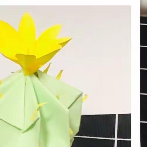 【花小云课堂】“停课不停学”创意美术课开课啦！《仙人球》