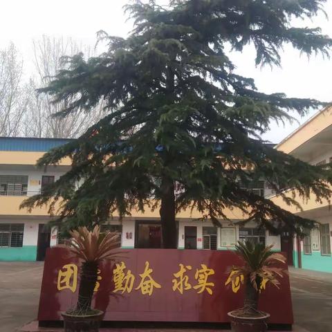 我们在成长——双庙中心小学迎观摩活动剪影